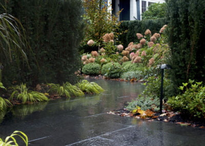 black basalt stone garden path in the rain with yew hedging and lush garden planting