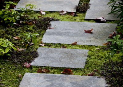 Garden stepping stone path with moss between