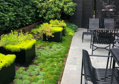 Vancouver moss garden with square planters and stone patio