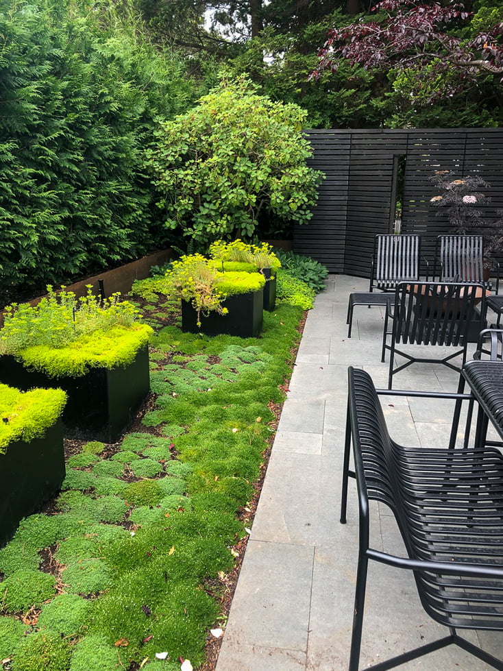 Vancouver moss garden with square planters and stone patio