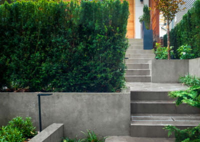 Architectural concrete at entry of a landscape construct project in Vancouver BC. Yew privacy hedging and architectural concrete retaining walls and steps.