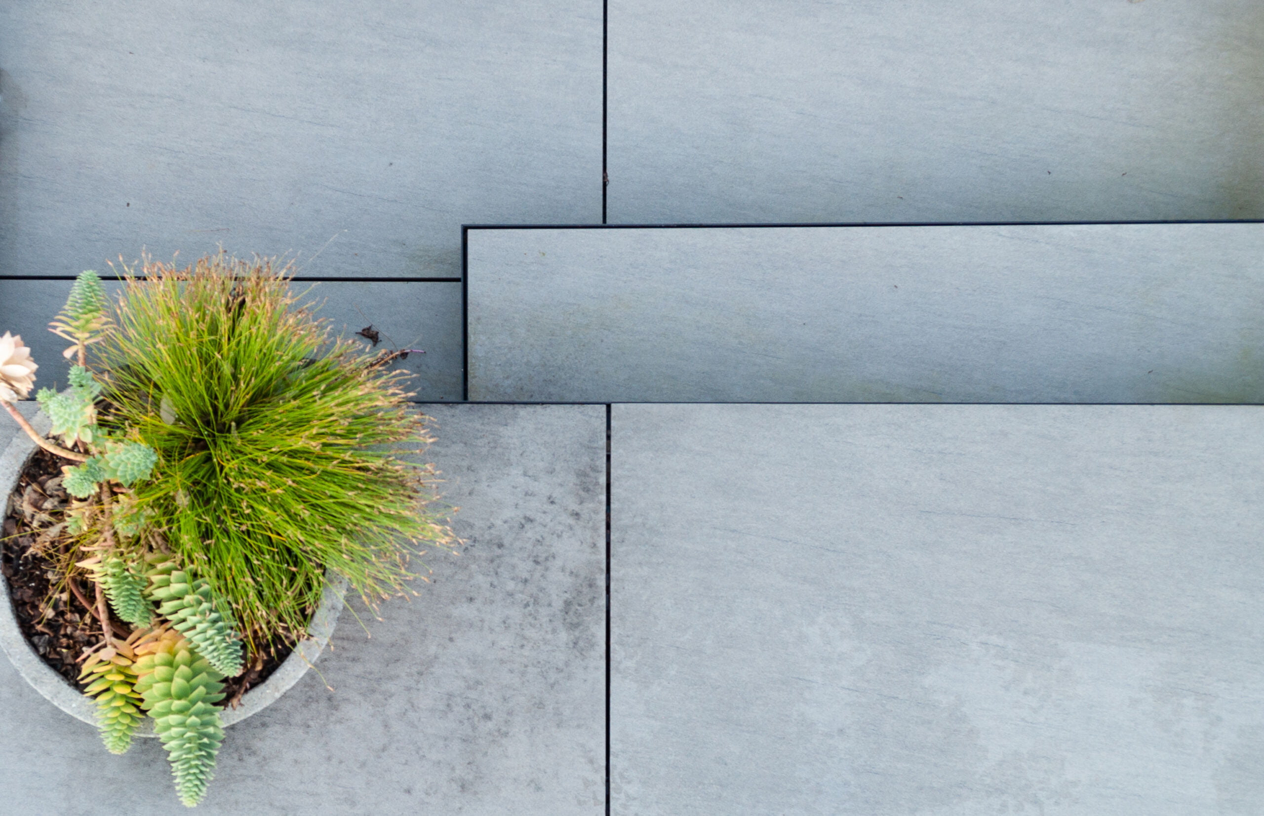 Grey porcelain tile with planter pot