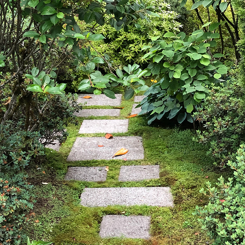Edgemont garden path Stepping stone path through north vancouver garden