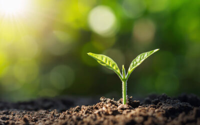 An age-old way to improve soil health