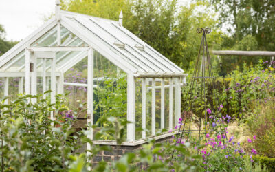 Permaculture in Urban Gardens