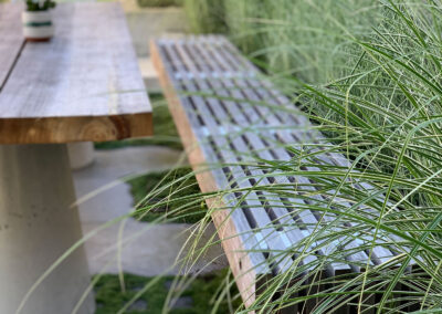 Wooden bench surrounded by tall grass