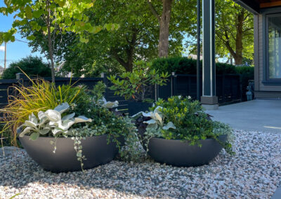 Planted bowl containers on decorative gravel — residential landscape design in East Vancouver concealing utility infrastructure by 161 Design Studio.